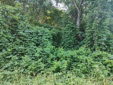 0 Brookhaven Dr unit 126058, Chatsworth, GA 30705 - photo 5