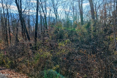 Tbd Blackheath Rd, Kingsport, TN 37660 - photo 4