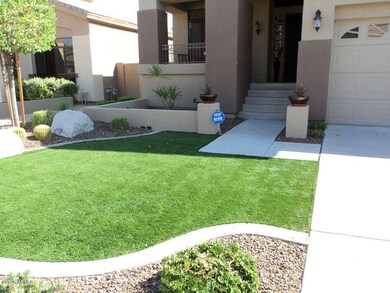 Front Yard