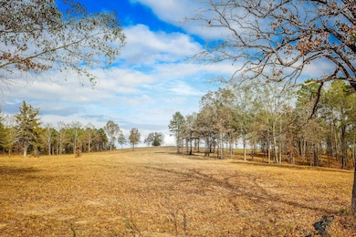 26 AC Cr 3103, Winona, TX 75792 - photo 5