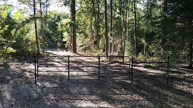 000 County Road 4330, Larue, TX 75770 - photo 3