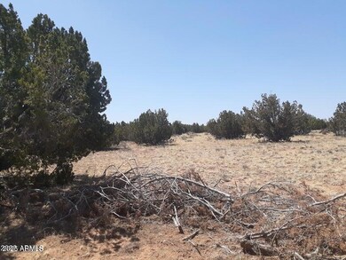 SW 10 Acre 17xx Buffington Hill Rd, Heber, AZ 85928 - photo 5