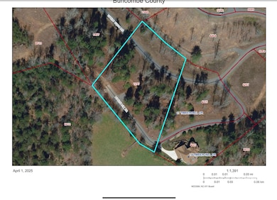 31 Timber Hill Dr unit LOT 19, Leicester, NC 28748 - photo 2