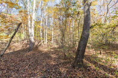 00 Fishers Cove Rd, Fair Play, SC 29643 - photo 4