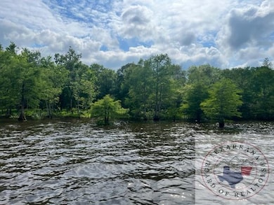 000 S Eagle's Way S, Bradley, AR 71845 - photo 3