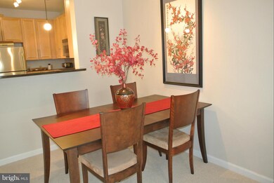 Silverton Condominiums, Silver Spring, MD 20910 - photo 4