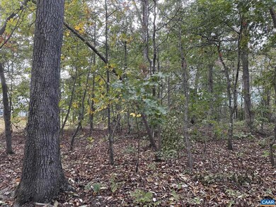 Lot 5 Constitution Hwy unit 5, Orange, VA 22960 - photo 6