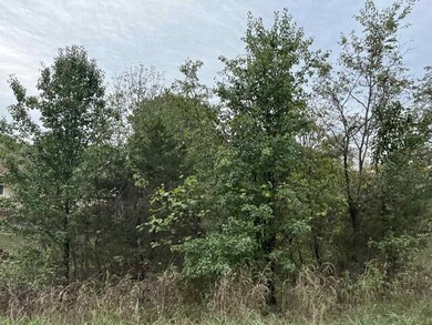 Lot 20 Rabbit Run, Flat Creek A Township, MO 65624 - photo 3