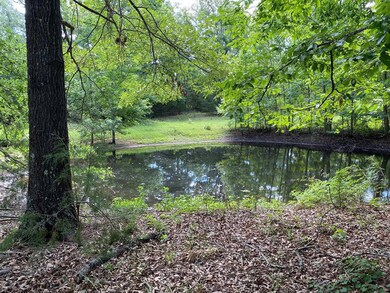 0 County Rd 285 unit 20086682, Tyler, TX 75707 - photo 7