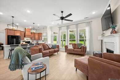 17906 Critter Cove Ln, Livingston, LA 70754 - photo 6