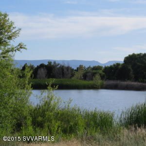 IMG_0905