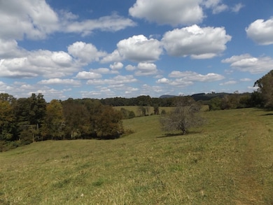 TBD Dugspur Rd, Laurel Fork, VA 24352 - photo 4