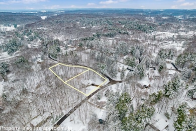 439 Pine Tree Dr NE, Granville, OH 43023 - photo 3