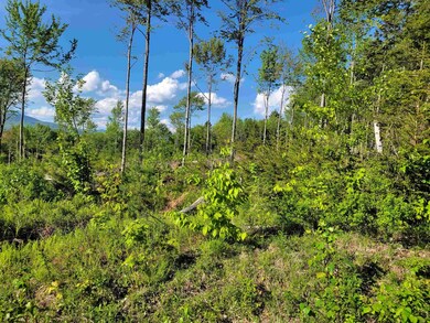Lot 1 Victoria's Mountain Way, Groton, NH 03241 - photo 4