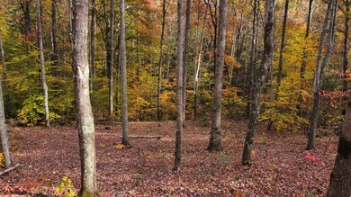 dji_fly_20241028_152038_435_173014400967