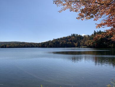 VIEW FROM THE WATERFRONT