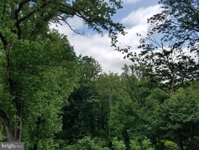 303 Corvus Cir, Springfield, PA 19064 - photo 3