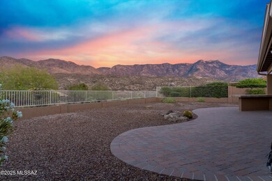 East Facing Backyard