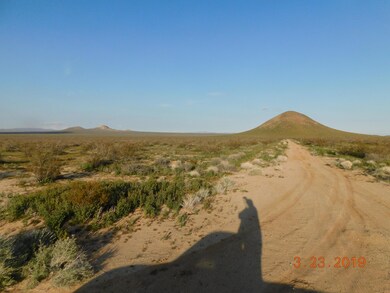 0 Joshua Blvd, California City, CA 93505 - photo 3