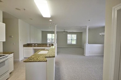 Open Kitchen / Dining / Living Area
