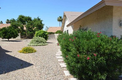 Large Back Yard
