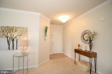 9713 Handerson Place unit 207, Manassas Park, VA 20111 - photo 4