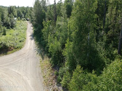 17643 E Castle Rock Ln, Palmer, AK 99645 - photo 6