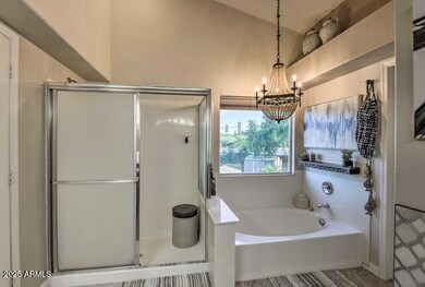 Owners Suite bath 2