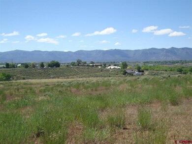 0 Road 24 6 unit 707703, Cortez, CO 81321 - photo 2