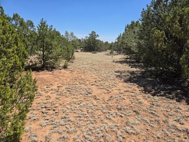 0 County Rd A102 unit 15, Tajique, NM 87016 - photo 7