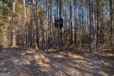 0 Ben Mosley Cir unit 10654033, Summerville, GA 30747 - photo 7