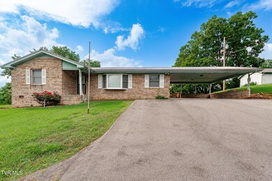 110 Richard Ln, Fall Branch, TN 37656 - photo 2