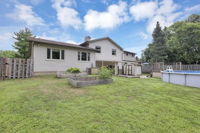 53-web-or-mls-0D3A0381