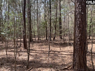 0 Eleazer (Parcel C) Rd unit 621895, Irmo, SC 29063 - photo 4