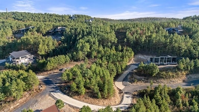 346 Overcup Oak Trail, Broken Bow, OK 74728 - photo 3