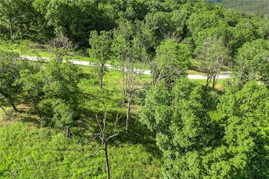 Lot 87 Restore Ridge, Harrison, AR 72601 - photo 6