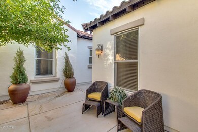 Courtyard with Orange Tree