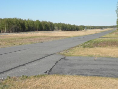 Runway Frontage