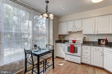 10302 Mockingbird Pond Ct, Burke, VA 22015 - photo 7