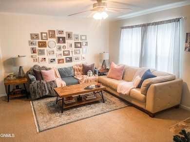 103 4th Ave NE, Crosby, ND 58730 - photo 5