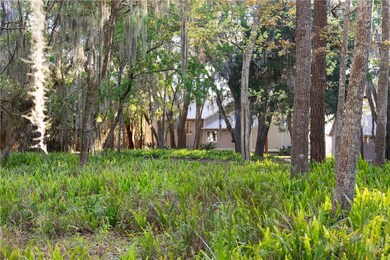 435 Mimosa Dr, Saint Simons Island, GA 31522 - photo 3