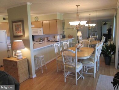 119 Old Landing Rd unit 203 C, Ocean City, MD 21842 - photo 6