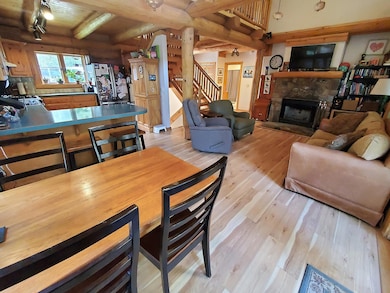 31 Beeslack Ln, Telluride, CO 81320 - photo 3