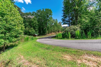LOT 22 Meadow Brook Trail, Morganton, GA 30560 - photo 7