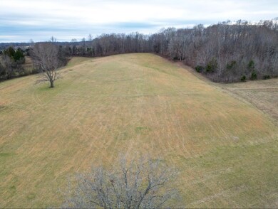 1038 Maple Valley Rd, Cumberland Furnace, TN 37051 - photo 4