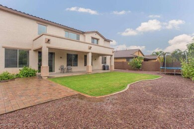 Spacious Backyard W/Lush Landscape