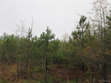 D3 Sunset Pasture Ln, New Kent, VA 23141 - photo 3