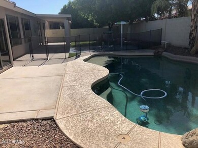 Pool and Patio