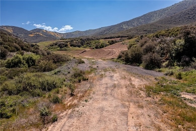 1 Plummers Ln, Mentone, CA 92359 - photo 5