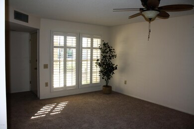 10741 W Santa fe Dr, Sun City, AZ 85351 - photo 5